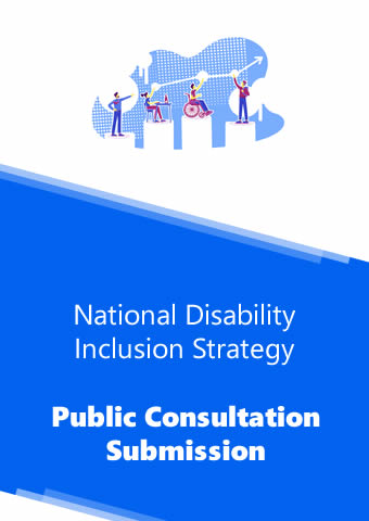 National Disability Inclusion Strategy