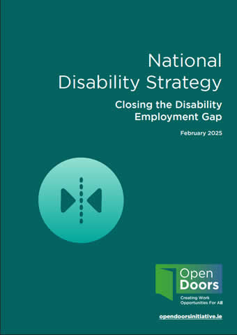 National Disability Inclusion Strategy
